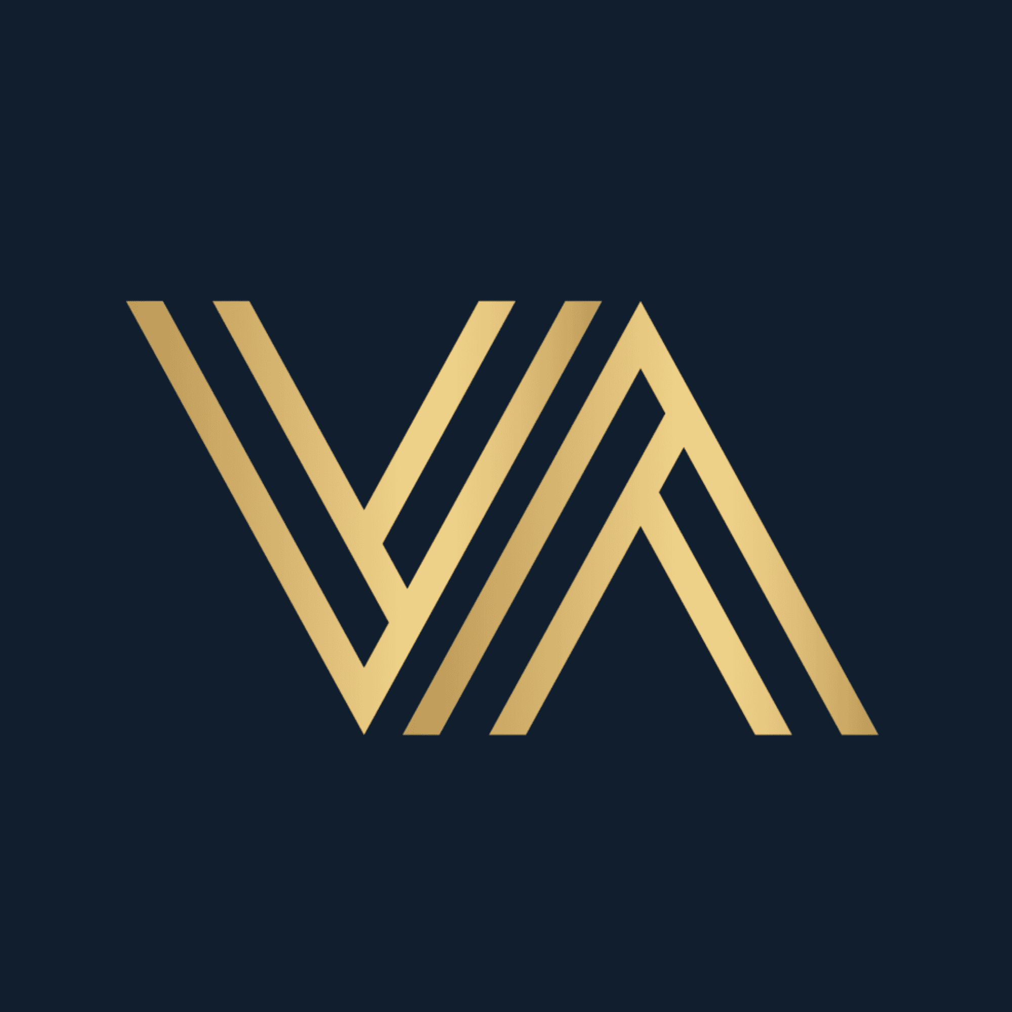 Vision Asset Group